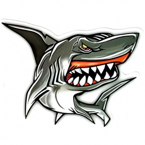 Виниловая наклейка "Акула злая" 11*11см