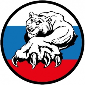 Виниловая наклейка  "РУС Триколор медведь" цветная 10*10см