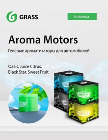 Ароматизатор "Aroma Motors" SWEET FRUIT GRASS 100мл